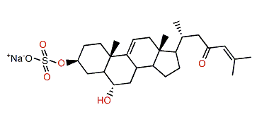 Marthasterone sulfate